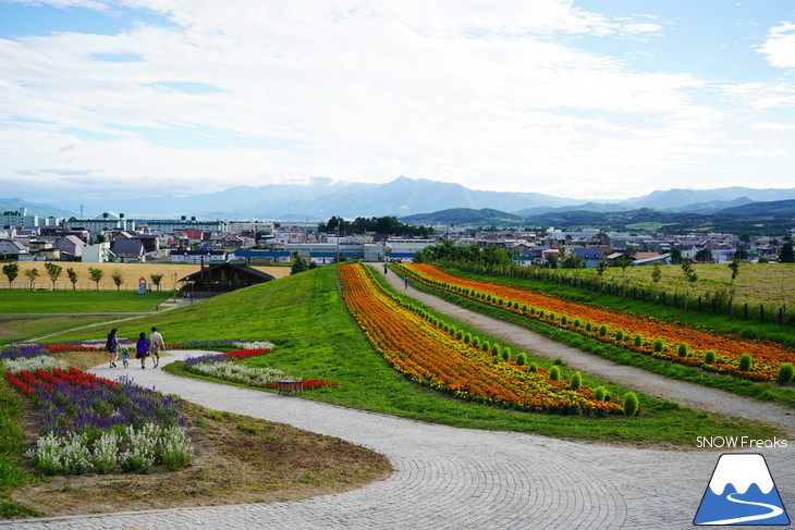 カメラを片手に夏の中富良野～上富良野・ラベンダー花畑巡り☆